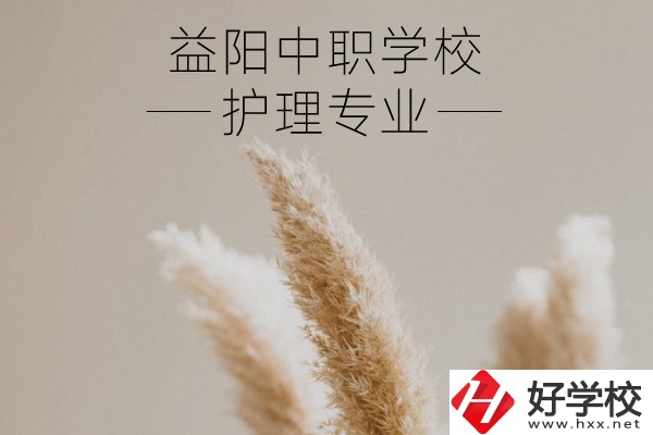 益陽護理專業的中職學校有哪些？需要哪些要求？