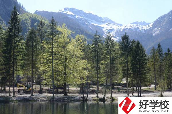 湘西自治州技工學校怎么樣?宿舍環境怎么樣？