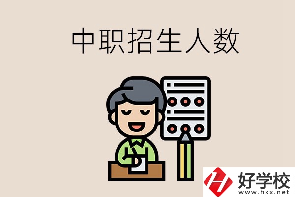 湖南中職學校每年的招生人數是多少？