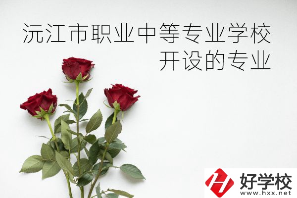 沅江市職業中等專業學校怎么樣？開設哪些專業？
