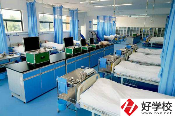 湖南醫藥職業中專開設了哪些特色專業？