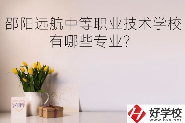 邵陽遠航中等職業技術學校有哪些專業？