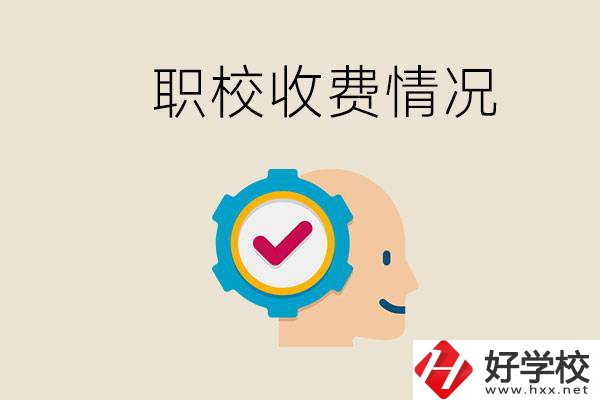 湖南的職校是怎么收費的？民辦學校一年學費要多少？