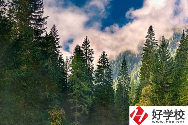 永州東方科技職業學校有哪些辦學特色？