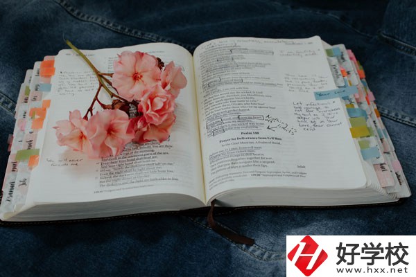細數懷化三大職校，這三所學校女生最多！