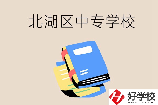 郴州市北湖區一共有多少所中專學校？