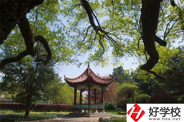 長沙市望城區職業中等專業學校的官網是什么？