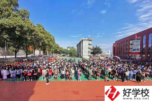 初中畢業讀湖南懷化商業學校好不好，可以學哪些專業？