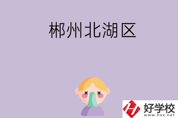 郴州北湖區有哪些學校？