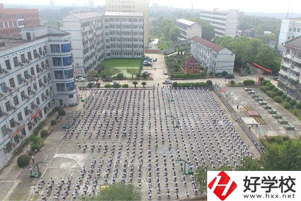 益陽市有哪些中職學?？梢詫W習到機器人的知識?