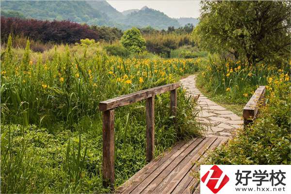 湘西旅游學校開設哪些特色專業？