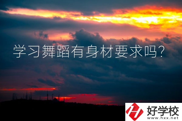 懷化有可以學習舞蹈的中專學校嗎？有身材要求嗎？