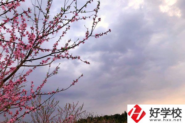 邵陽市瀟湘中等職業技術學校怎么樣？收費標準如何？