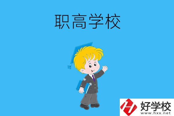 湖南婁底新化縣有哪些職高學校？