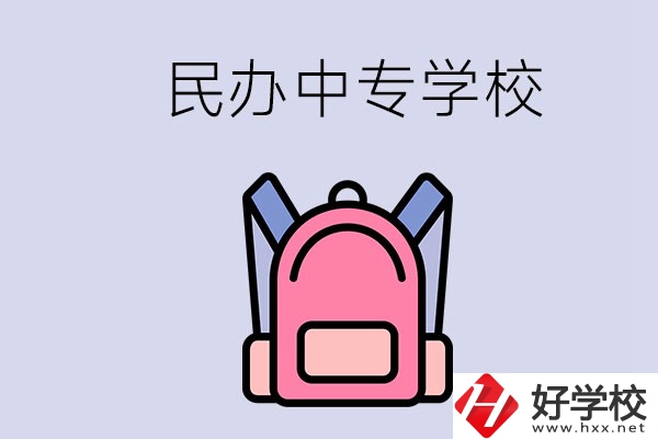 益陽的民辦中專學校有多少所？辦學怎么樣？