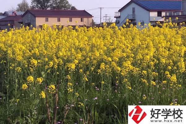 湖南省有哪些比較好的技校？熱門專業有哪些？