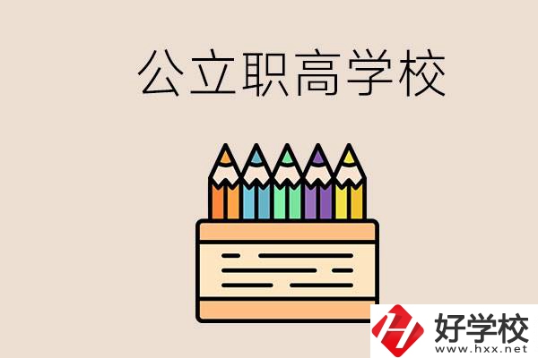 岳陽的公立職高學校有哪些？學費一般是多少？