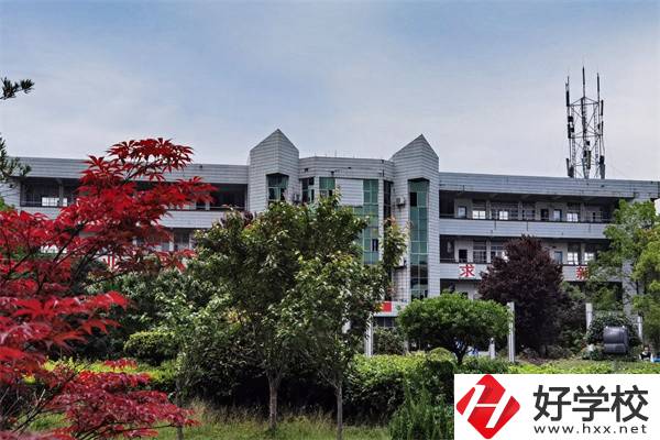 在懷化想學美術可以去什么中職？開設有什么專業？