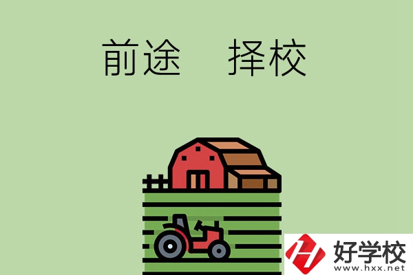 在長沙讀中職學校有前途嗎，如何擇校？