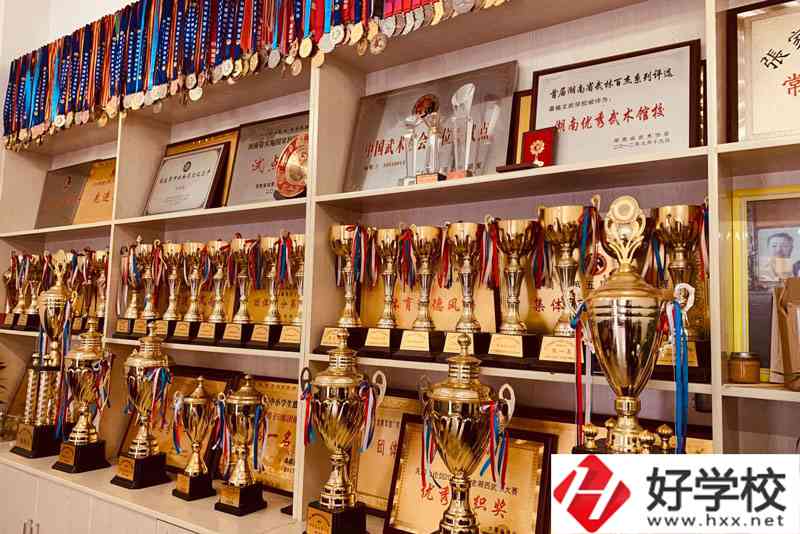 桑植縣民族文武職業學校收費怎么樣?