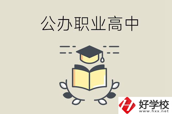 湖南永州有哪些公辦的職業高中？