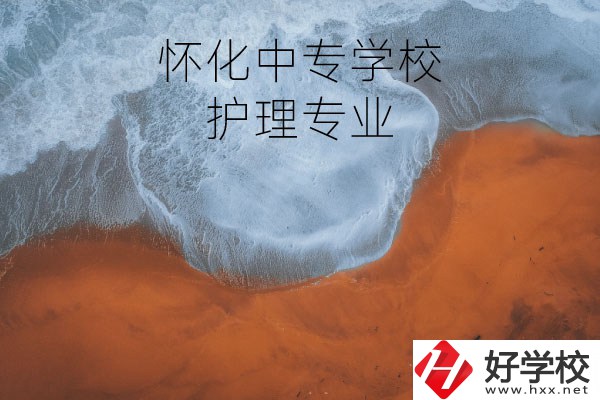 懷化有學護理專業的中專學校嗎？
