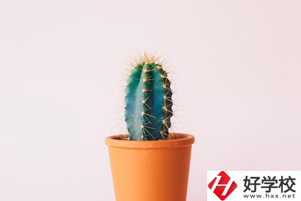 長沙有哪些中職學?？梢詫W習幼師專業？