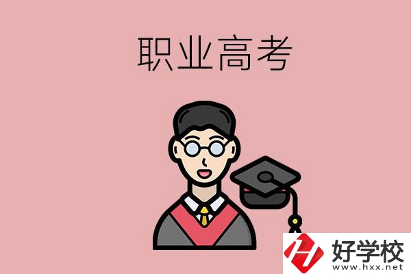 湖南的職業高考考什么科目？總分是多少？