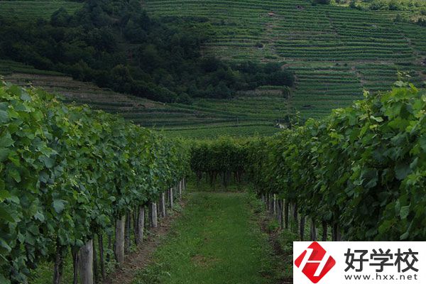 中鋼集團衡陽重機技工學校好不好？值得讀嗎？