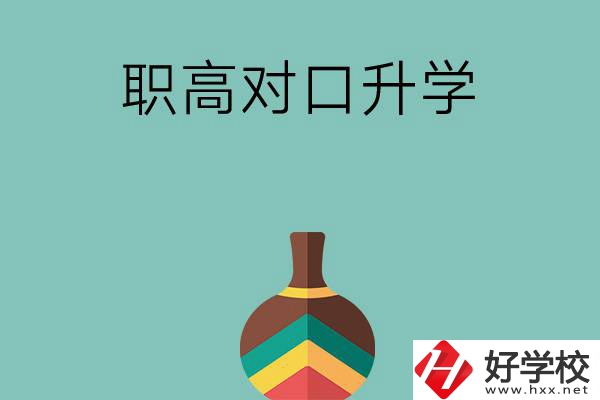 湖南職高對口升學可以考哪些大專？
