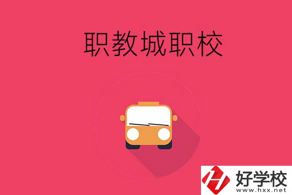 株洲職教城有什么職校？