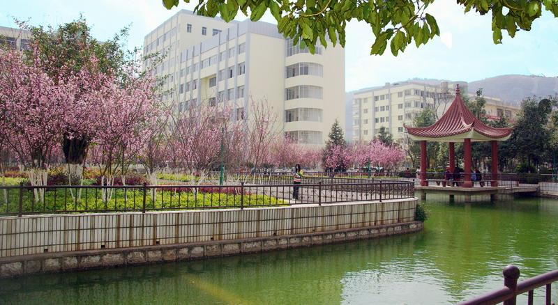 云南科技信息職業學院五年制大專