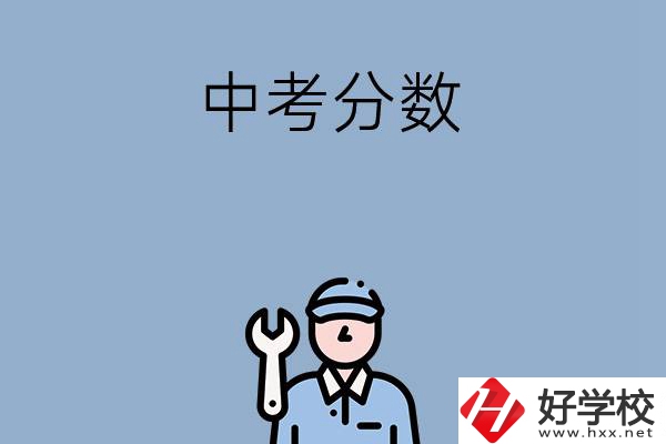 岳陽中考400-500分能讀哪些學校？