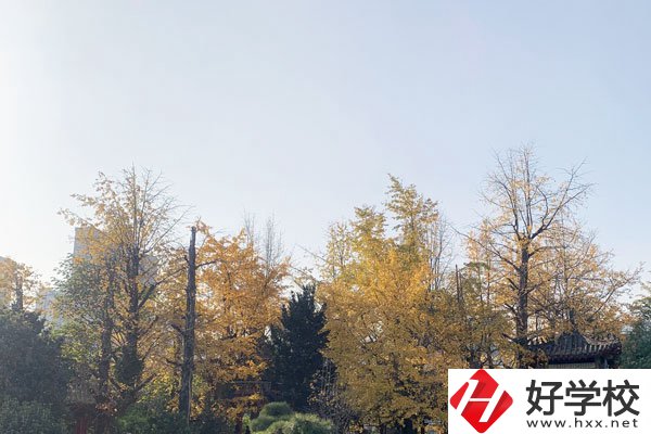湘潭縣就業職業技術學校有哪些專業？就業前景怎么樣？