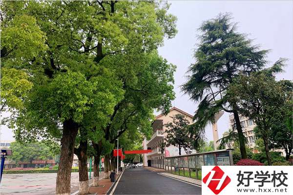 想在益陽學機械制造專業，哪個學校比較好？