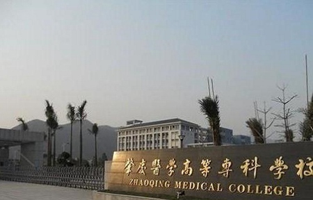 肇慶醫學高等??茖W校