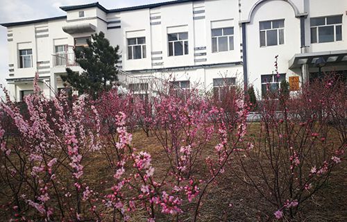 煙臺市勞動局服務技術學校