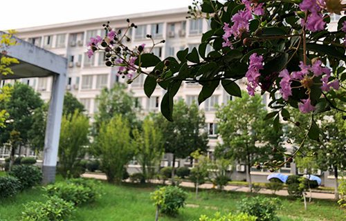 肥城市第二職業高級中學