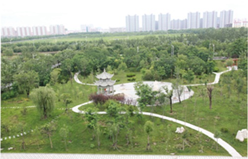 濱州職業學院