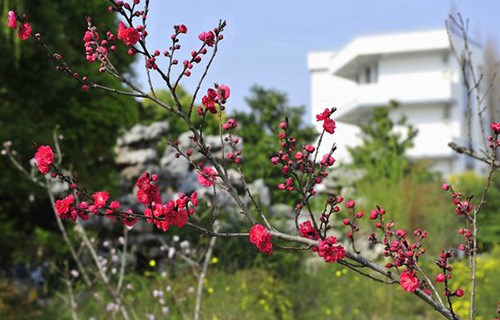 唐山市工人醫院衛校