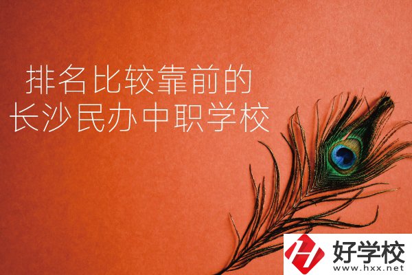 長沙哪些民辦中職學校排名比較靠前？