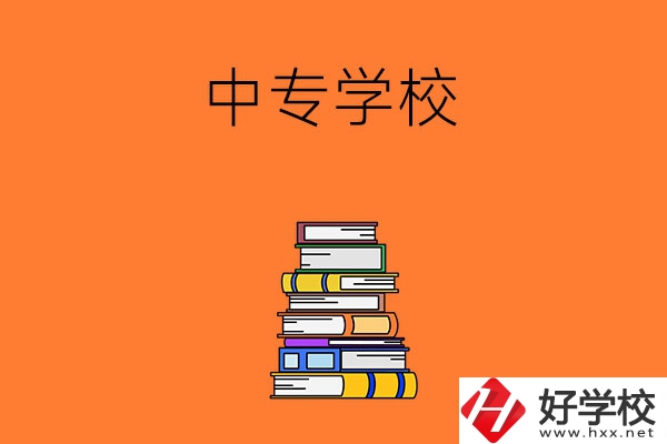 懷化市有哪些公立的中專學校？