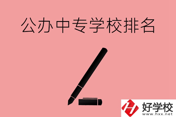 婁底哪些公辦中專學校排名比較靠前？