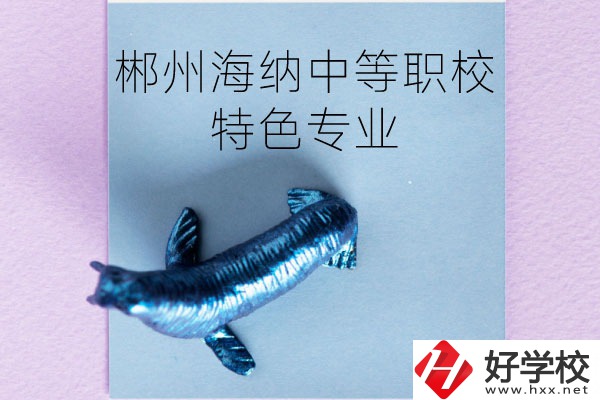 郴州海納中等職業技術學校有些什么特色專業？