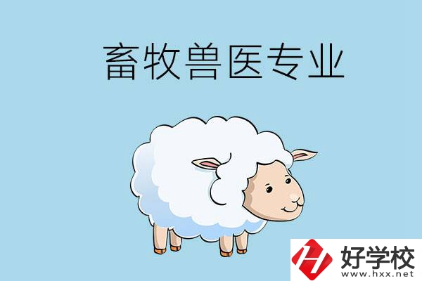 畜牧獸醫專業好就業嗎？湖南哪些技校開設了該專業？