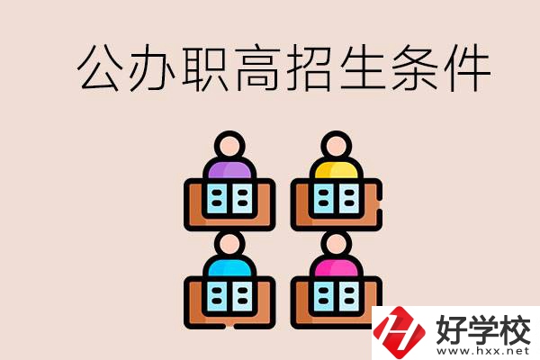 邵陽市有哪些公辦職高？學校的招生條件是什么？