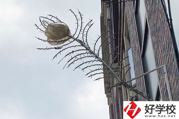 湖南省邵陽交通學校怎么樣？有哪些熱門專業？