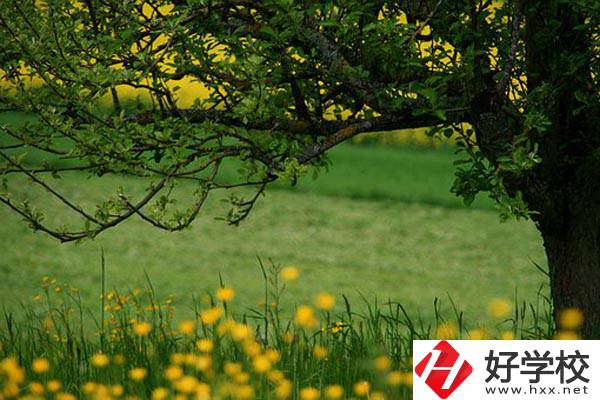 在邵陽讀中職有前途嗎？如何選擇學校呢？