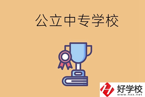 常德的公立中專學校有哪些？有什么特色？