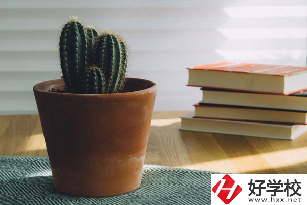 桃江縣職業中專學校辦學條件怎么樣？有哪些特色？